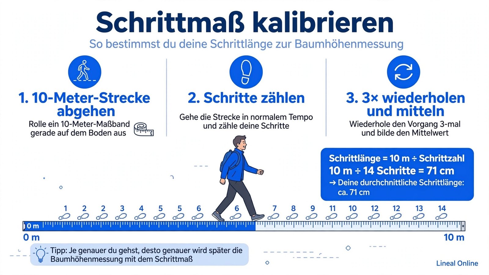 Anleitung Schrittmaß kalibrieren: 10 Meter abgehen, Schritte zählen und Schrittlänge berechnen für genaues Baumhöhe messen