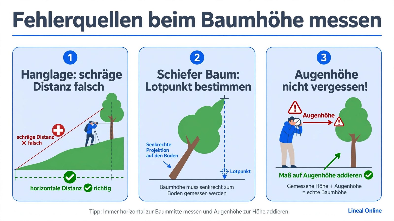 Fehlerquellen beim Baumhöhe messen im Vergleich: Hanglage verfälscht die Entfernung, schiefer Baum braucht den Lotpunkt, Augenhöhe nicht vergessen
